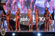 SN PRO EXPO - 2017