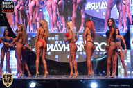 SN PRO EXPO - 2017