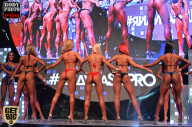 SN PRO EXPO - 2017