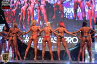 SN PRO EXPO - 2017