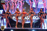 SN PRO EXPO - 2017