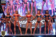SN PRO EXPO - 2017