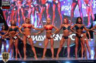 SN PRO EXPO - 2017