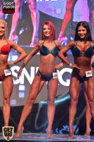 SN PRO EXPO - 2017