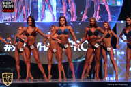 SN PRO EXPO - 2017