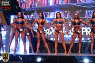 SN PRO EXPO - 2017