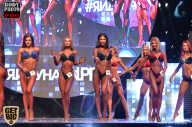 SN PRO EXPO - 2017