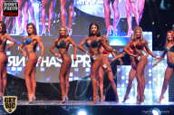 SN PRO EXPO - 2017