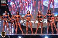 SN PRO EXPO - 2017