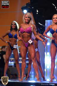 SN PRO EXPO - 2017