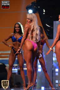 SN PRO EXPO - 2017