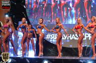SN PRO EXPO - 2017