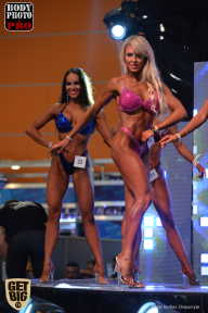 SN PRO EXPO - 2017