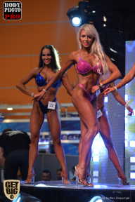 SN PRO EXPO - 2017