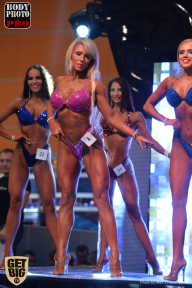 SN PRO EXPO - 2017