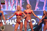 SN PRO EXPO - 2017