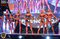 SN PRO EXPO - 2017