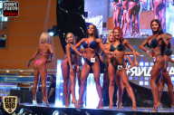 SN PRO EXPO - 2017