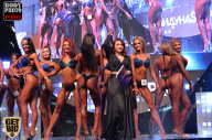 SN PRO EXPO - 2017