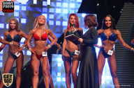 SN PRO EXPO - 2017