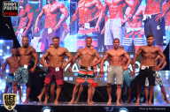 SN PRO EXPO - 2017