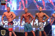 SN PRO EXPO - 2017