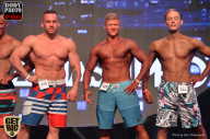 SN PRO EXPO - 2017