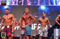 SN PRO EXPO - 2017