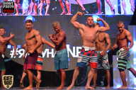SN PRO EXPO - 2017