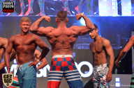SN PRO EXPO - 2017