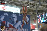 SN PRO EXPO - 2017