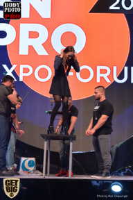 SN PRO EXPO - 2017