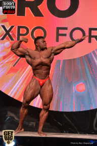 SN PRO EXPO - 2017