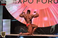 SN PRO EXPO - 2017