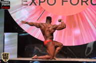 SN PRO EXPO - 2017