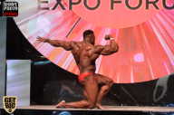 SN PRO EXPO - 2017