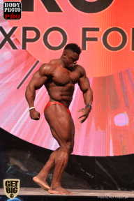 SN PRO EXPO - 2017