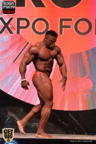 SN PRO EXPO - 2017