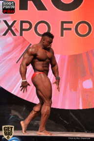 SN PRO EXPO - 2017