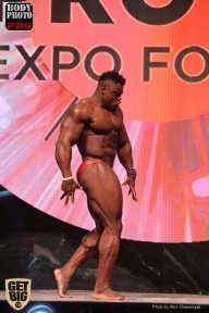 SN PRO EXPO - 2017