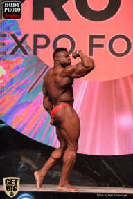 SN PRO EXPO - 2017