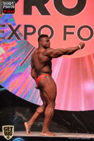 SN PRO EXPO - 2017