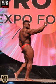 SN PRO EXPO - 2017