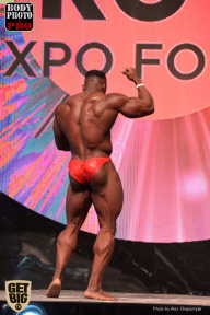 SN PRO EXPO - 2017