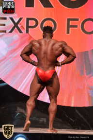 SN PRO EXPO - 2017
