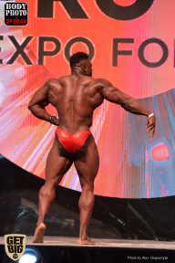 SN PRO EXPO - 2017
