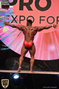 SN PRO EXPO - 2017