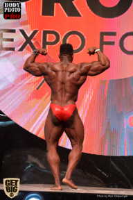 SN PRO EXPO - 2017