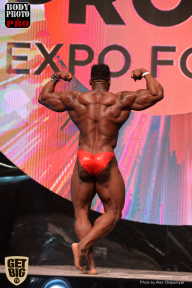 SN PRO EXPO - 2017