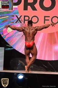 SN PRO EXPO - 2017